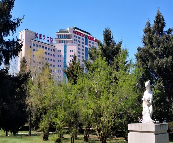 哈尔滨石油学院是民办还是公办_哈尔滨石油学院乘方教务_哈尔滨石油学院